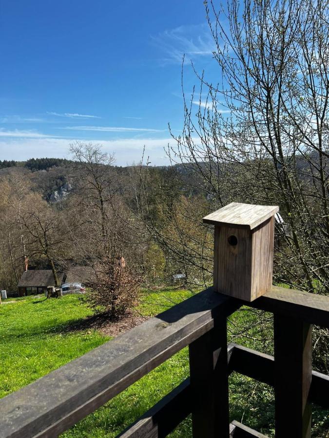 La Cabane D'Helie - Cottage En Pleine Foret - Domaine Du Bonsoy Hastiere-par-dela Εξωτερικό φωτογραφία