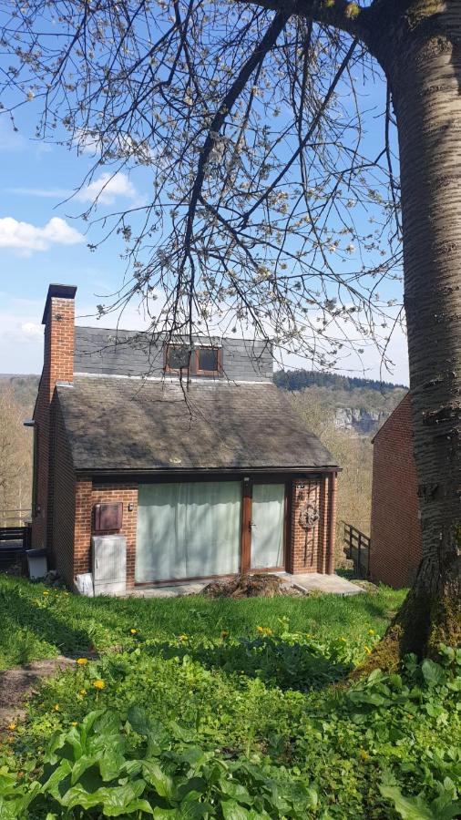 La Cabane D'Helie - Cottage En Pleine Foret - Domaine Du Bonsoy Hastiere-par-dela Εξωτερικό φωτογραφία
