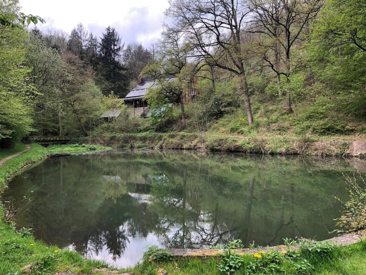 La Cabane D'Helie - Cottage En Pleine Foret - Domaine Du Bonsoy Hastiere-par-dela Εξωτερικό φωτογραφία